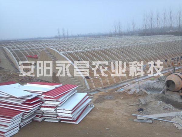 溫（wēn）室大棚18