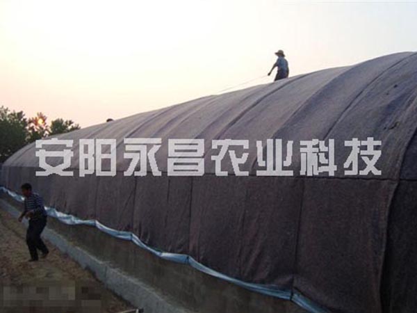 養（yǎng）殖大棚（péng）19