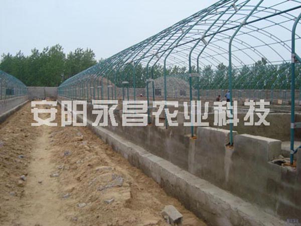 養殖（zhí）大棚17