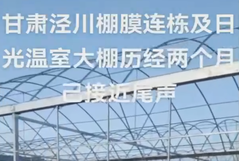 甘肅涇川棚膜連棟大（dà）棚及日（rì）光溫室大（dà）棚曆經兩個月已接近尾聲