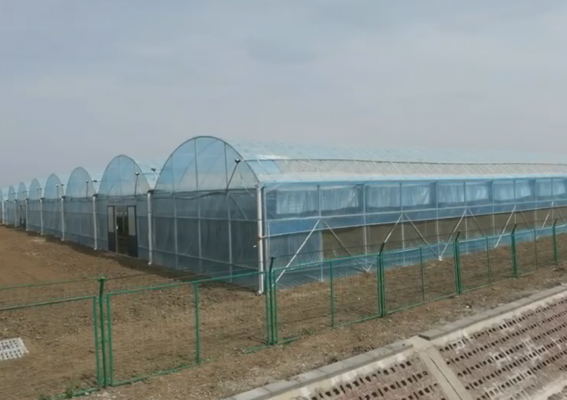 大（dà）棚建成投入使用