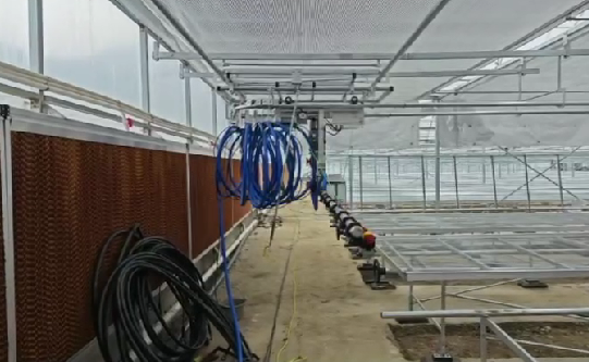 全自動噴灌機調試（shì）運行中