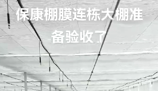 保康（kāng）棚膜連棟大棚準備驗收