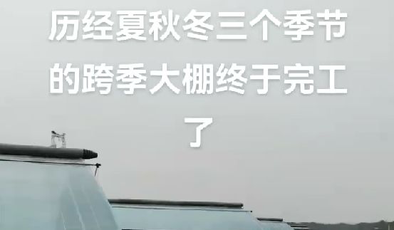 曆經夏秋冬三個季節的跨季（jì）大棚終於完工了